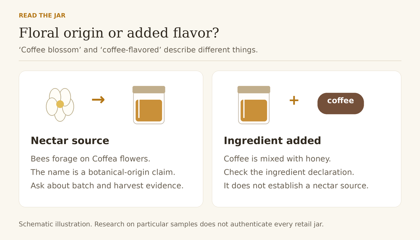 Two routes: coffee-flower nectar becomes honey, or a coffee ingredient is added to honey after harvest