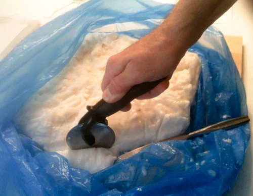 A hand scoop in a bulk bag at the store