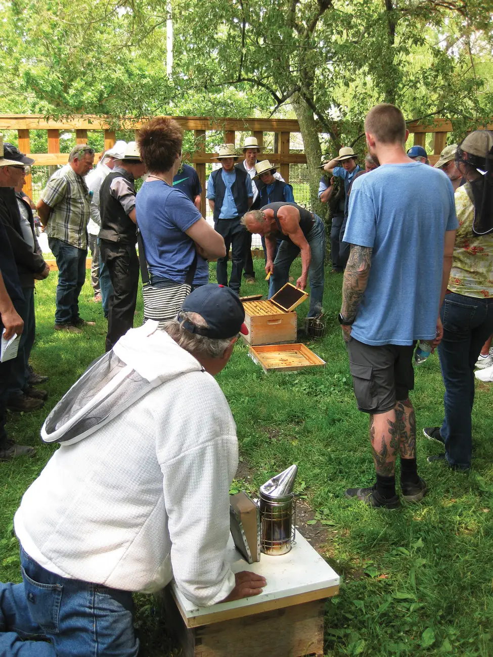 Beekeepers gathered around a hive demonstration at a field day