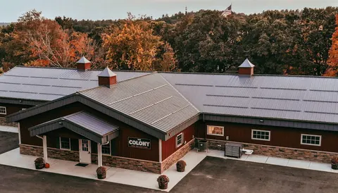 Photo of The Colony — New England Beekeeping